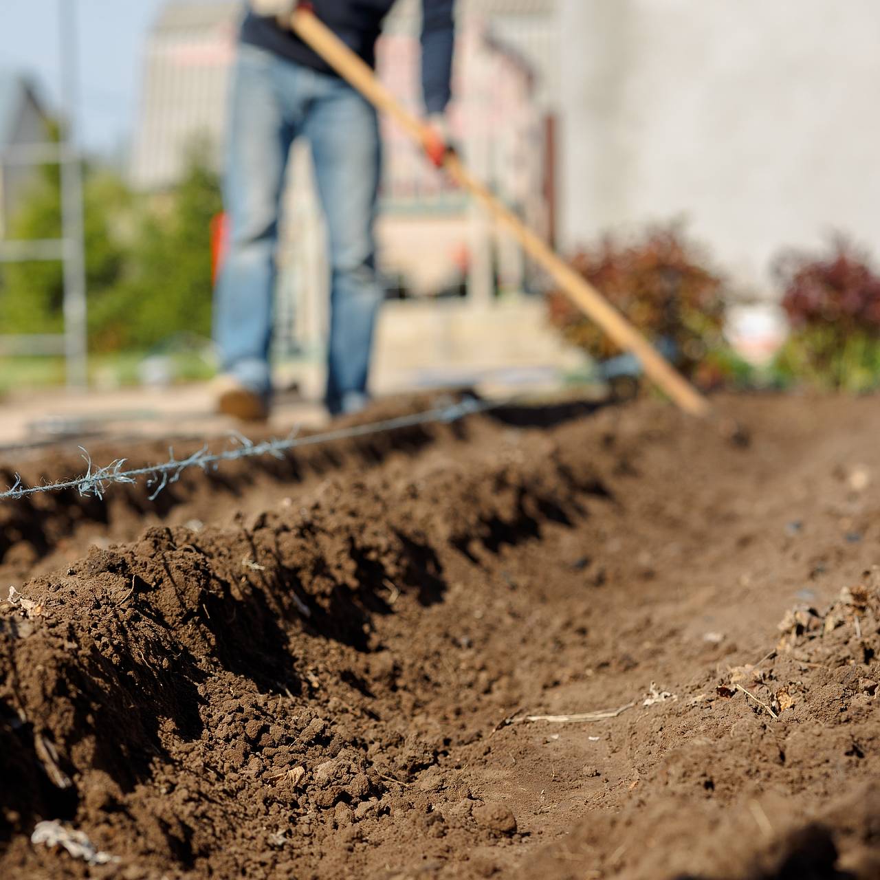 Фермерам из Африки решили раздать земли под Владимиром