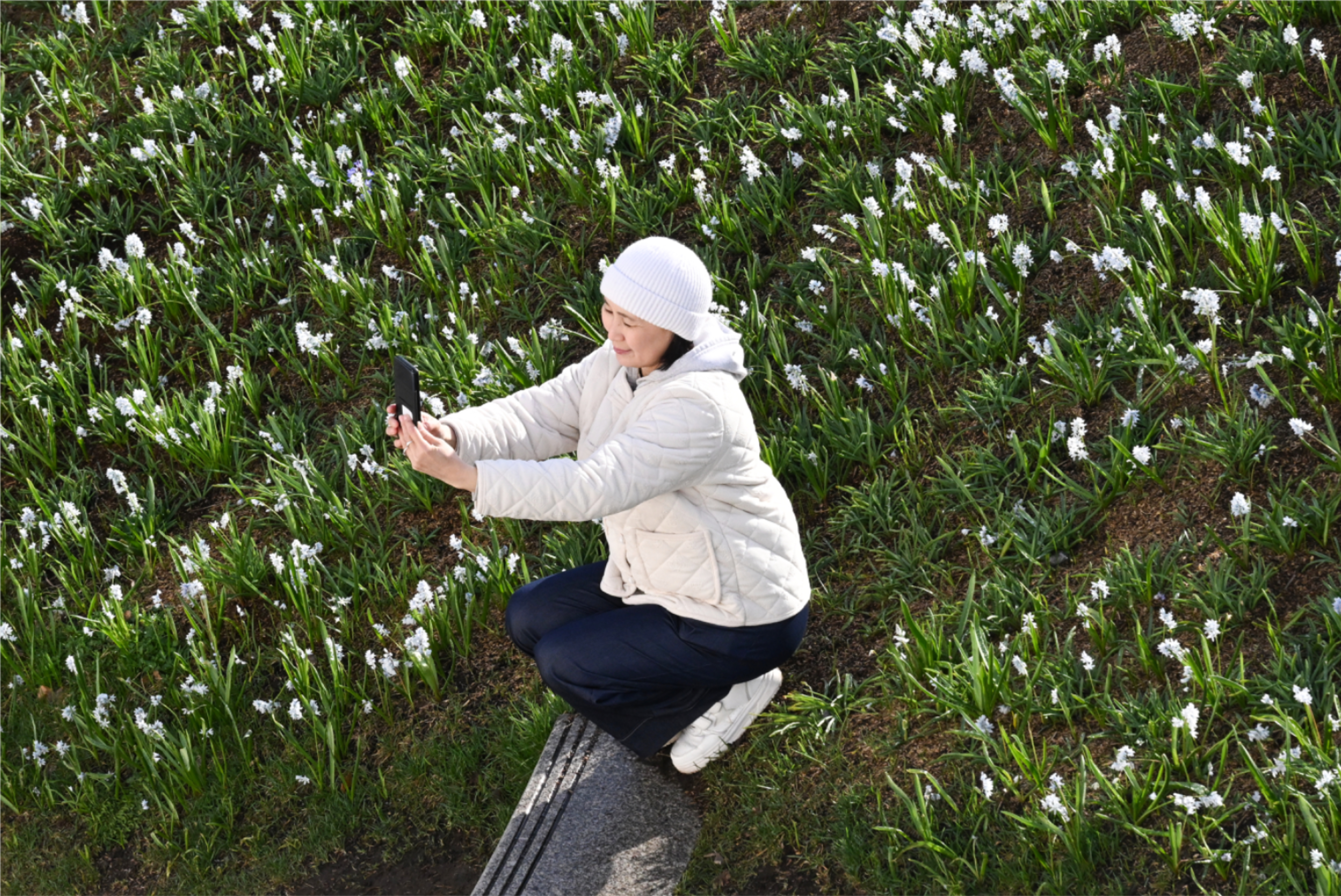 ���������&nbsp; ��������� ������ ����������