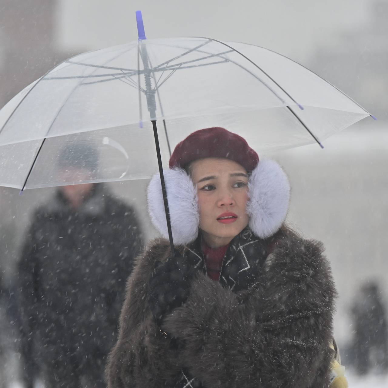 Последствия скорого снегопада в Москве оценили