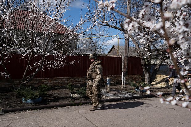 Вводная картинка