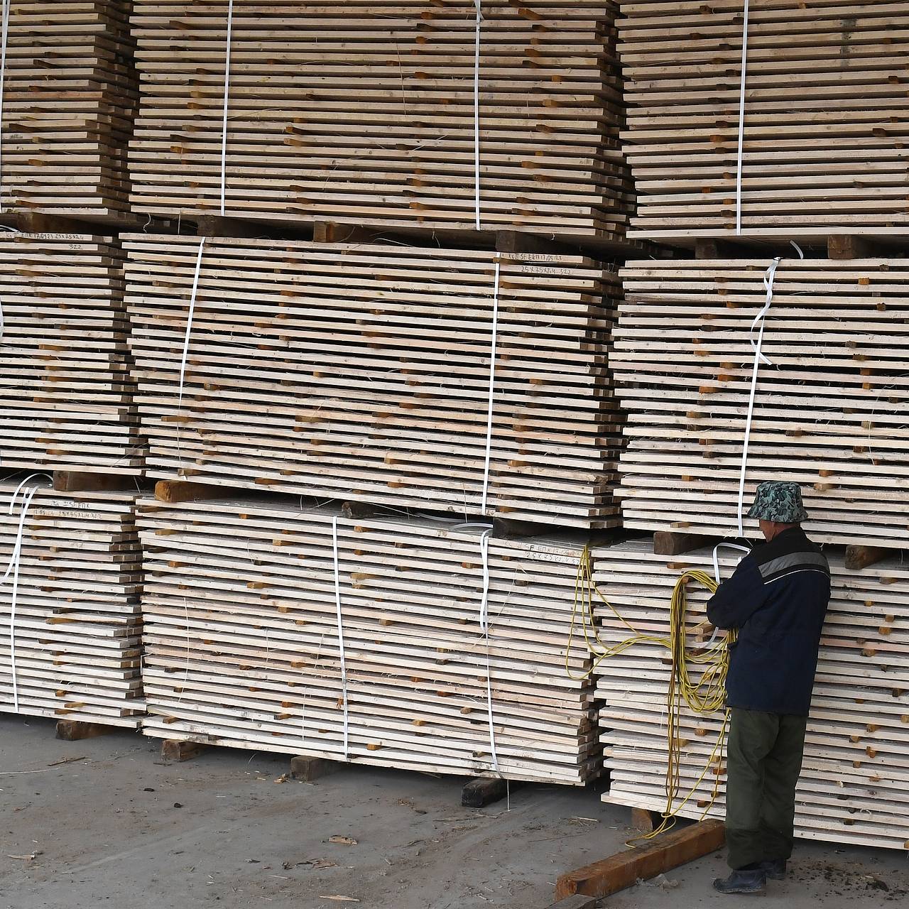 Российская кризисная отрасль попросила спасти компании от вала банкротств