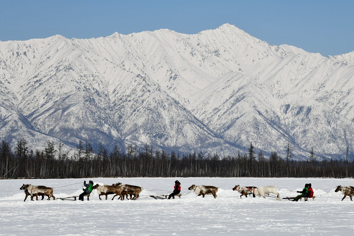 Празднование межрегионального праздника «День оленевода»