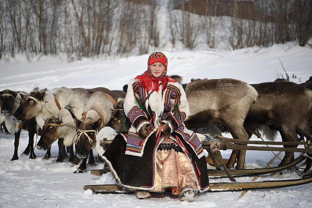 Вводная картинка