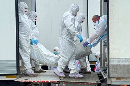 Стало известно о передаче Россией Украине 1000 тел военнослужащих