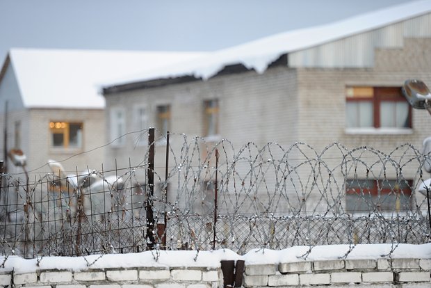 Вводная картинка