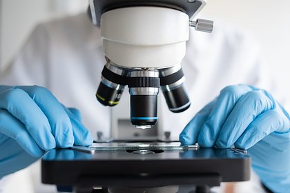 Открыт эффективный способ замедления старения организма