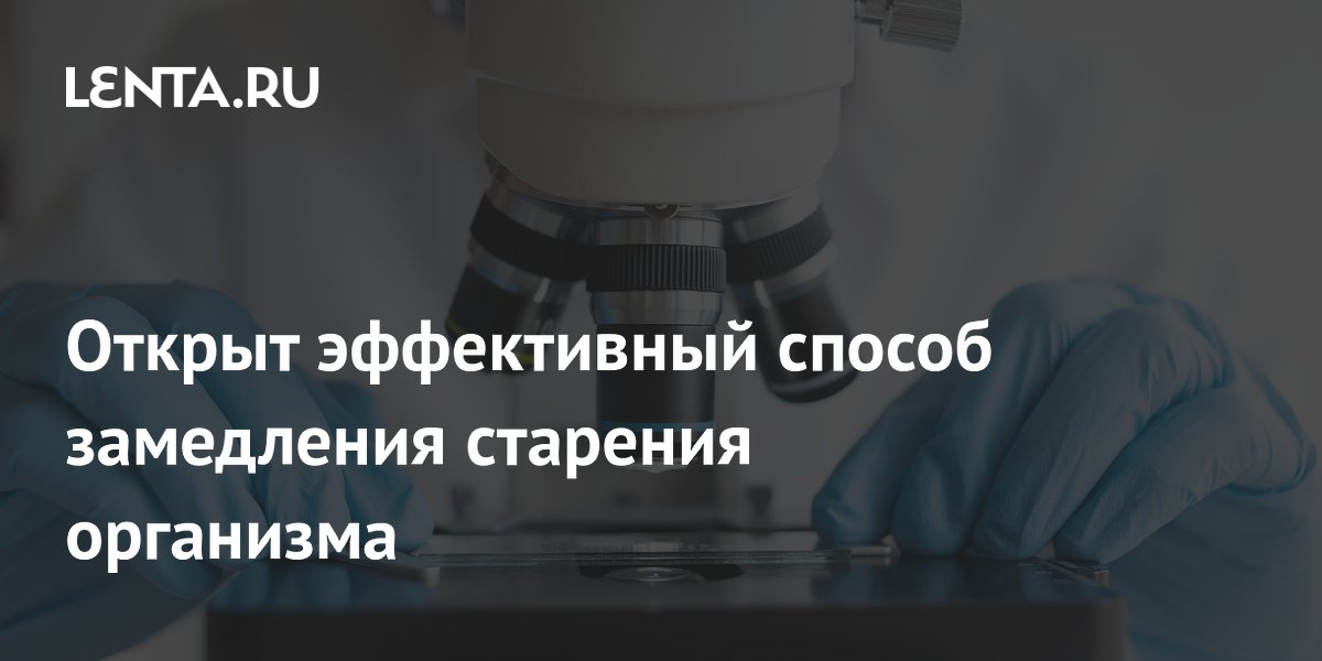 Открыт эффективный способ замедления старения организма
