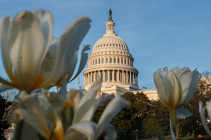 Раскрыто место проведения переговоров Израиля и Ливана