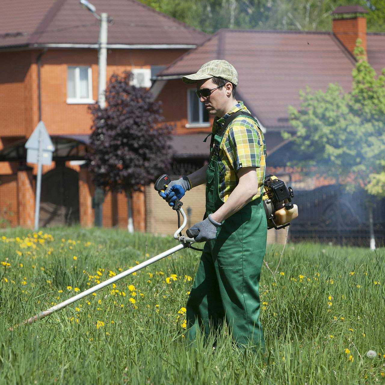 Дачников предупредили о штрафе за нескошенную траву на участке