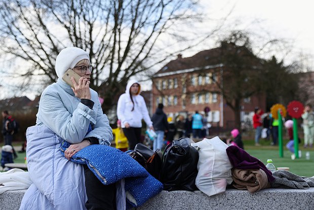 Вводная картинка