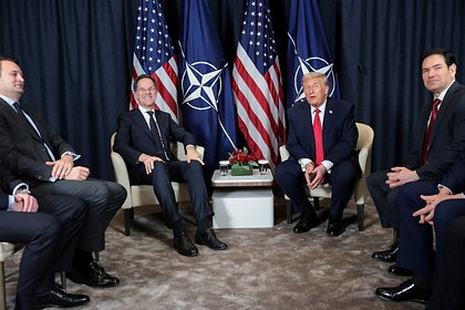 Предсказано будущее отношений США и НАТО после перепалки Трампа и Рютте
