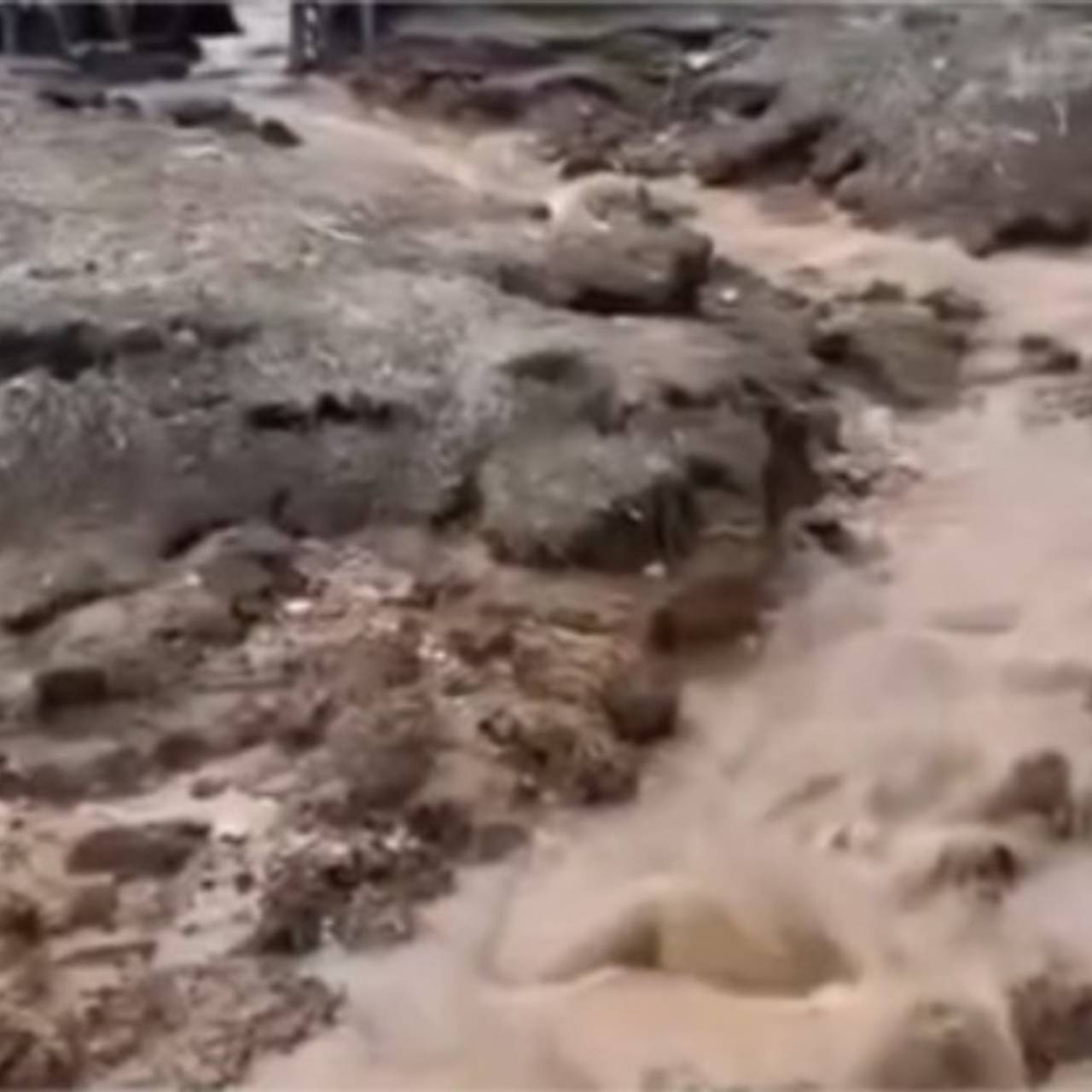 Фекальная река разлилась в Подмосковье