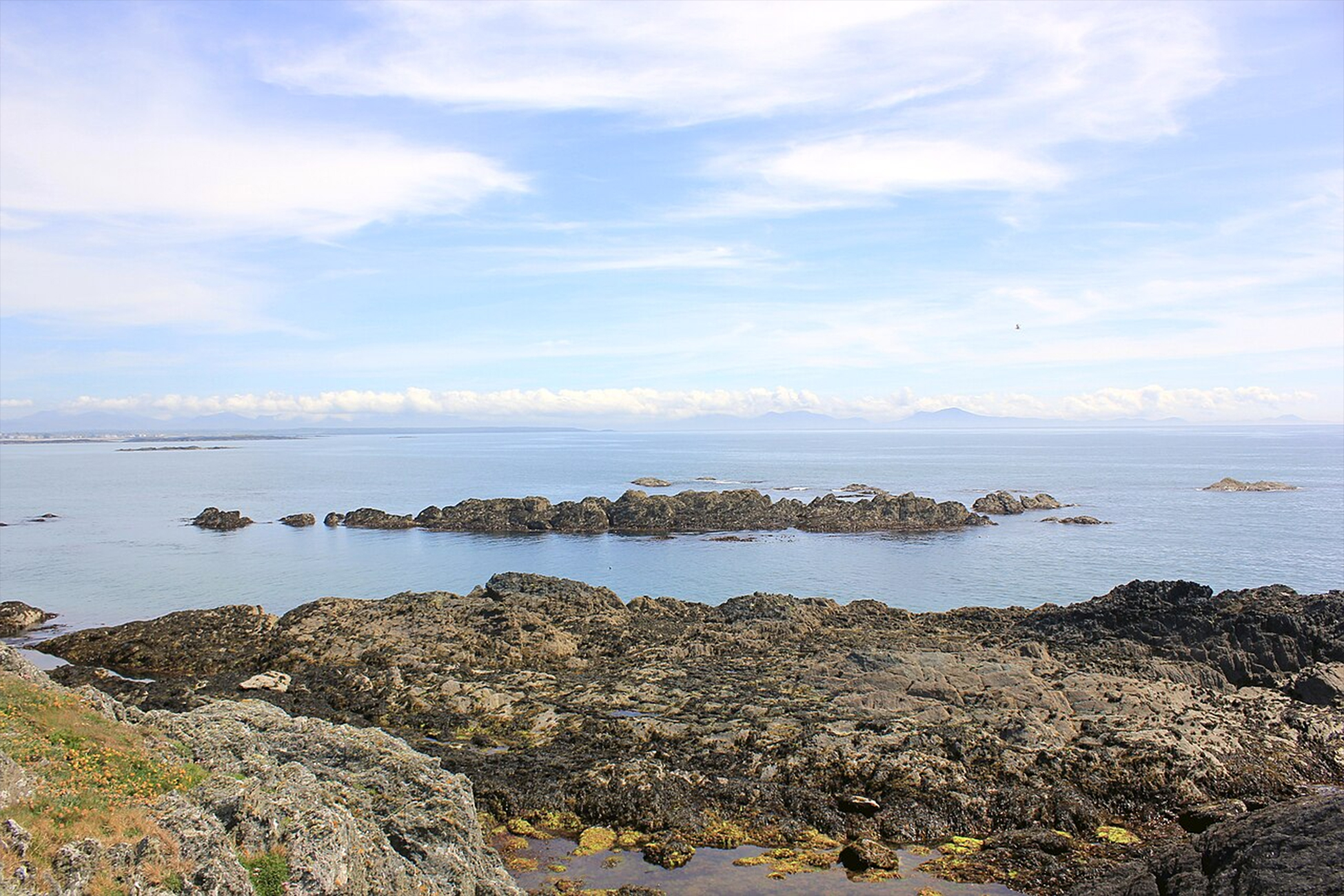 �����&nbsp; ���� �� ������ ���� ����� ���� ����������� ��������