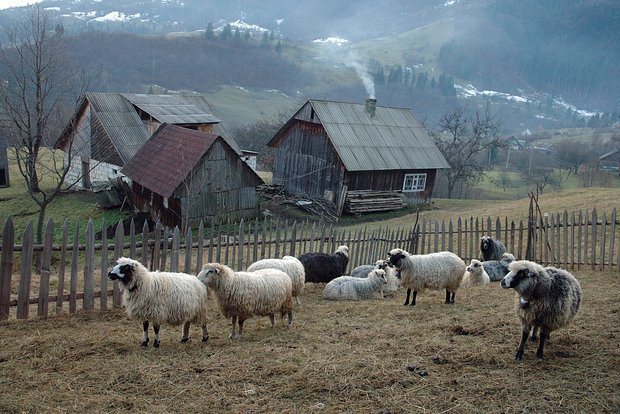 Вводная картинка