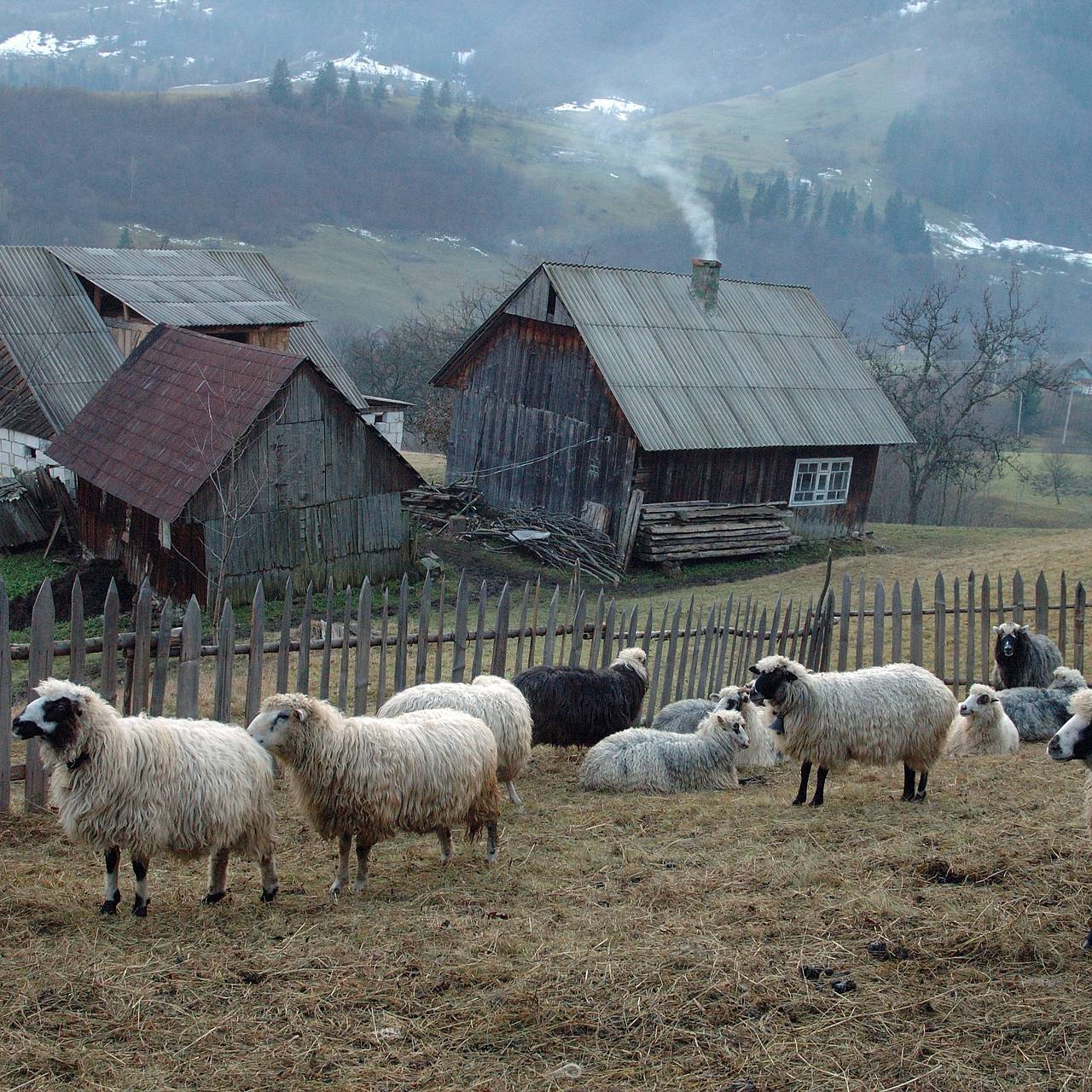 Иранский кризис создал угрозу &laquo;полного краха&raquo; на Украине
