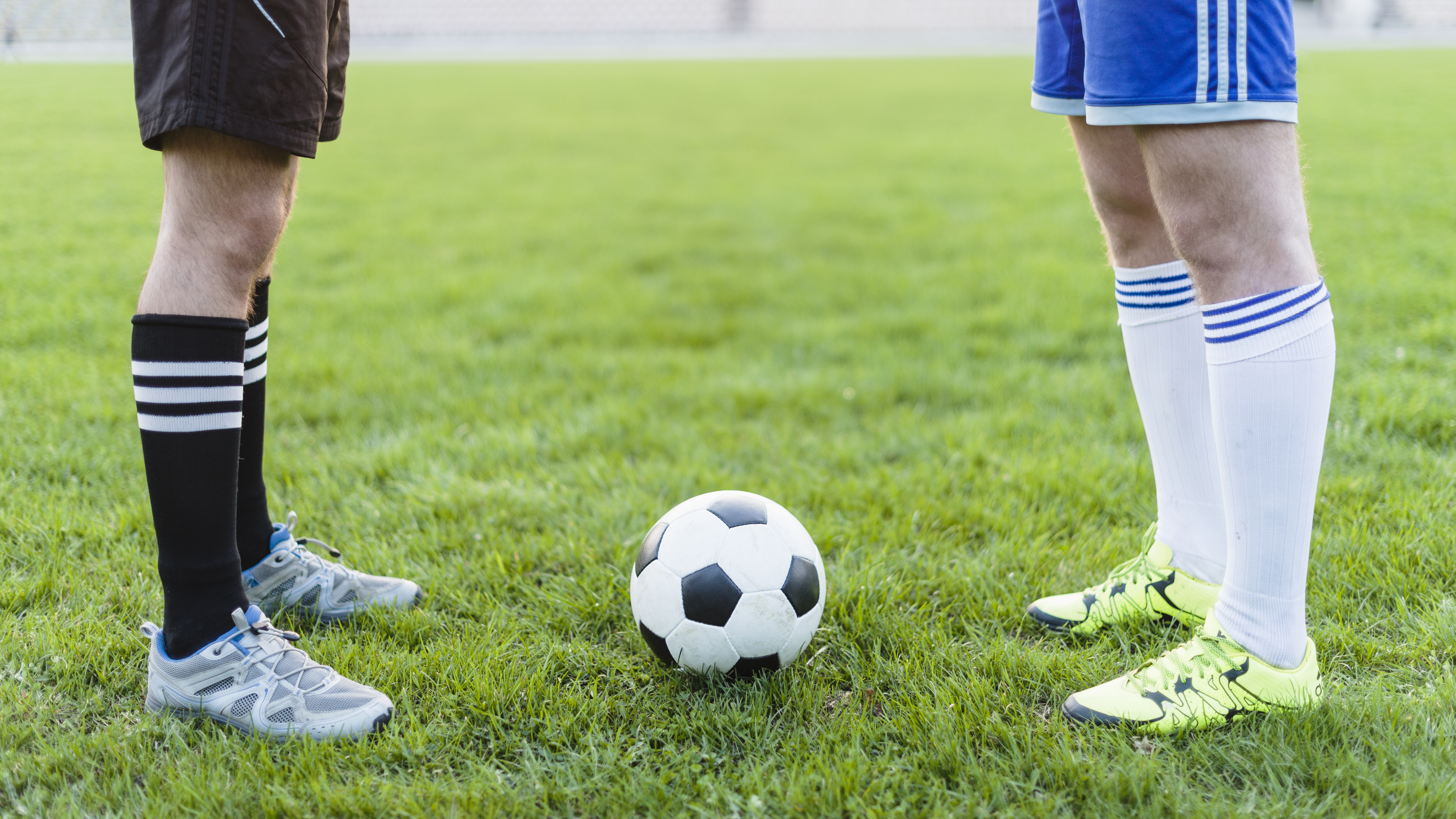 �����������&nbsp; �������� ����� ������� ������ ������� ����������� �������