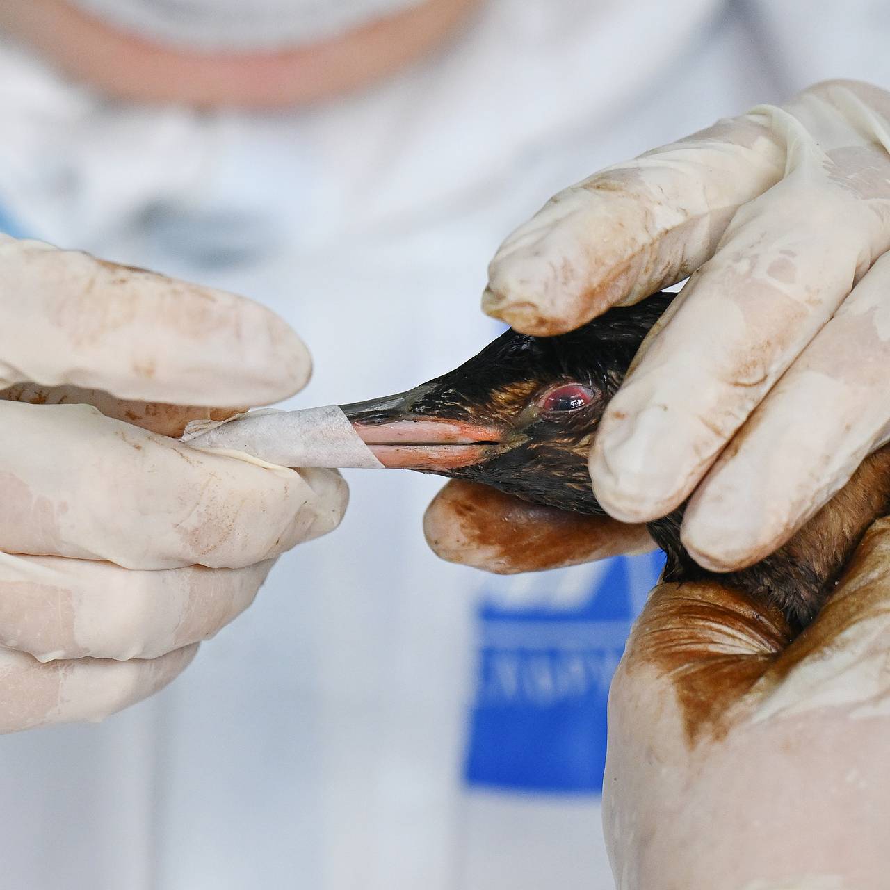 Фото: Алексей Майшев / РИА Новости