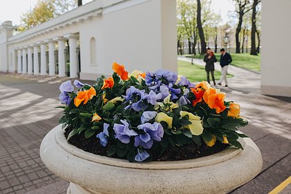 Юрист назвала отягчающее обстоятельство при порче городской клумбы
