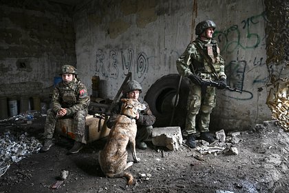 В России высказались о возможности перехода пасхального перемирия в долгосрочное