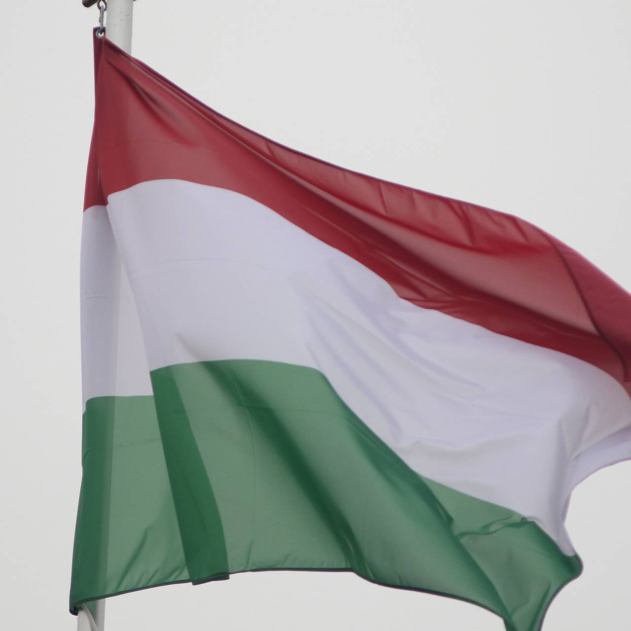 Озвучены предварительные результаты на парламентских выборах в Венгрии