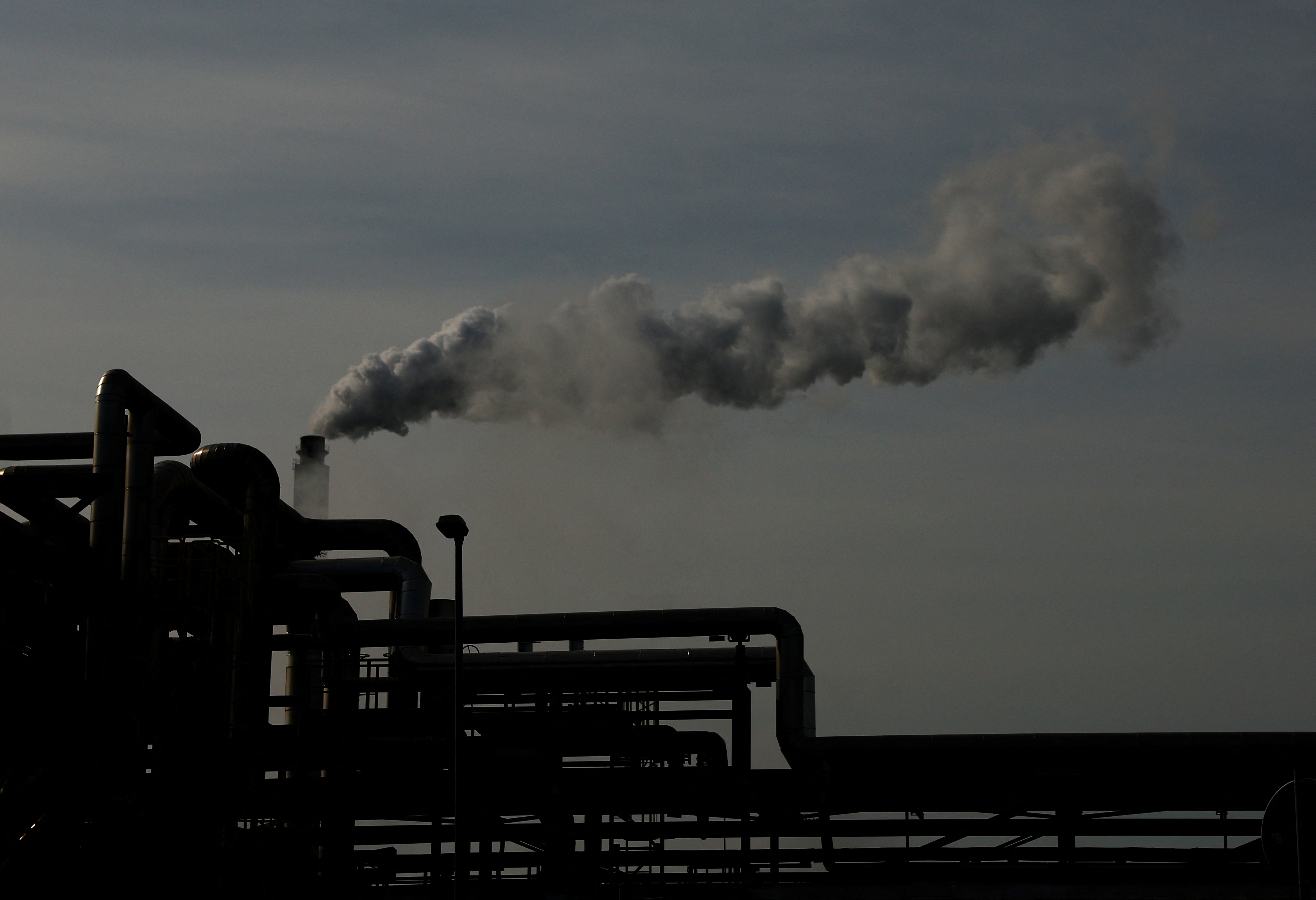 В&nbsp; ЕС призвали снять один запрет для России