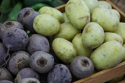 Экспорт российской сельхозпродукции в Китай резко вырос