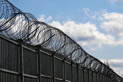 Появились новые данные о здоровье крабоеда из банды Цапков