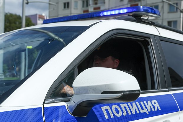 Вводная картинка