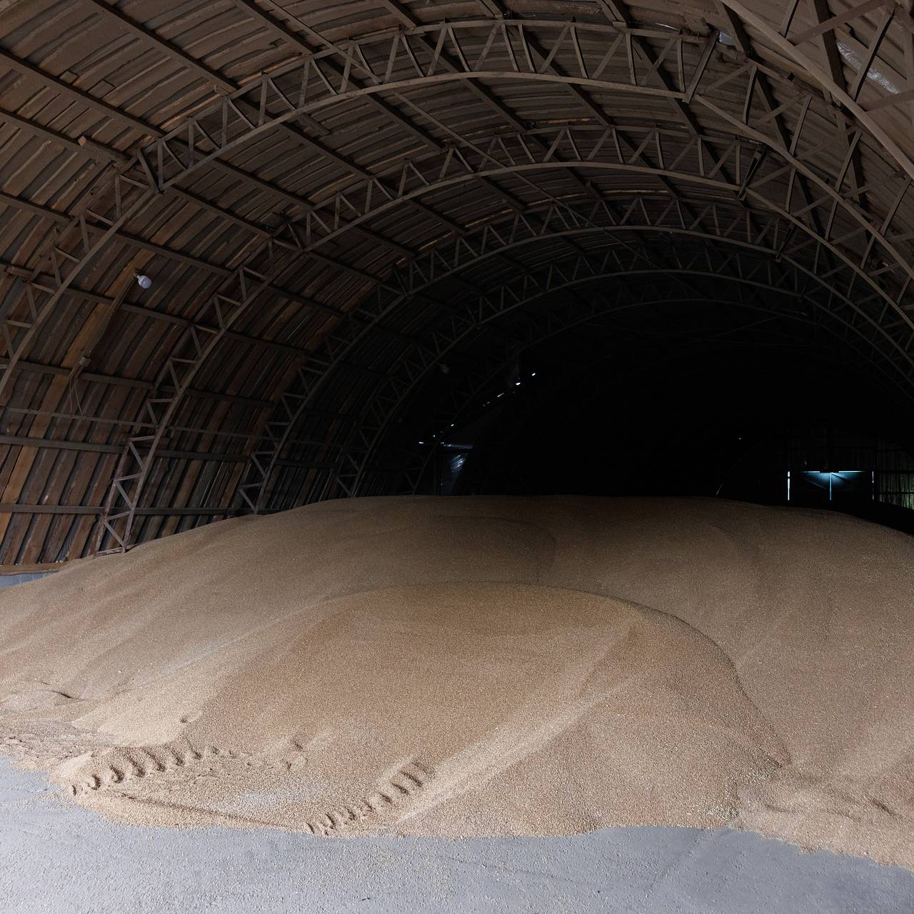 Еще несколько стран перестали покупать пшеницу у России