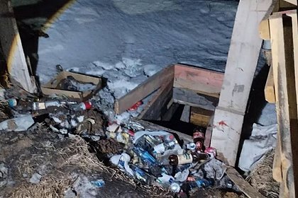 После поступившего звонка россиянин расправился со своими собаками