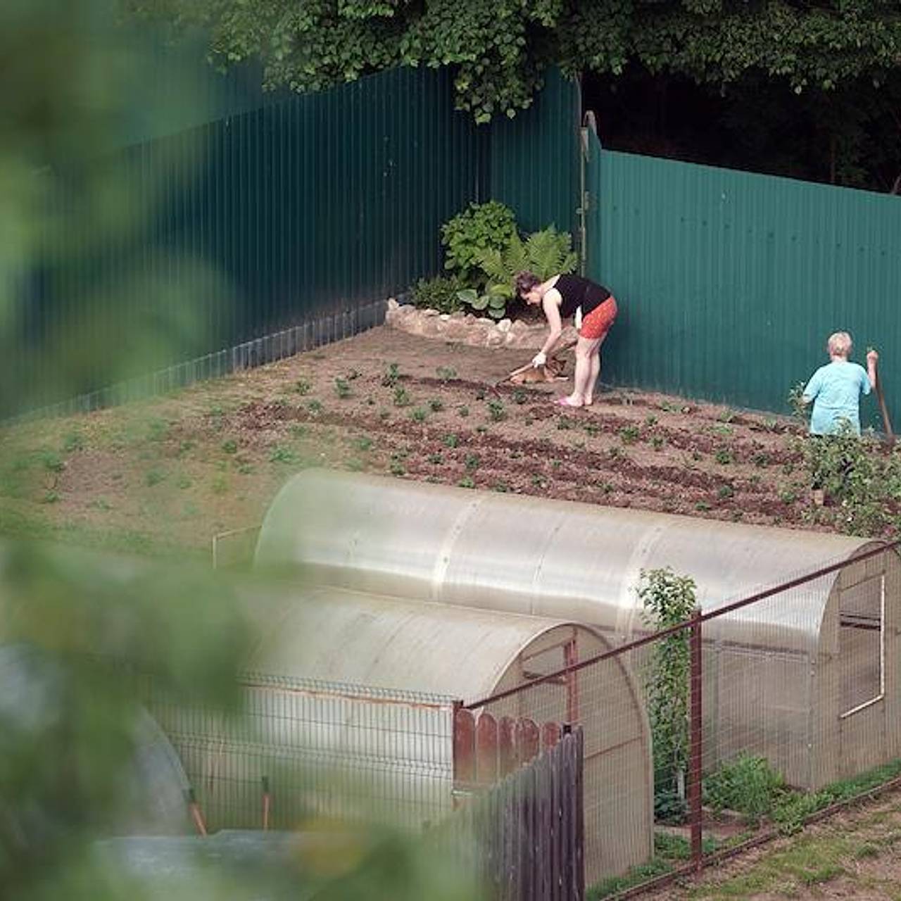 Дачникам рассказали об эффекте тряпки