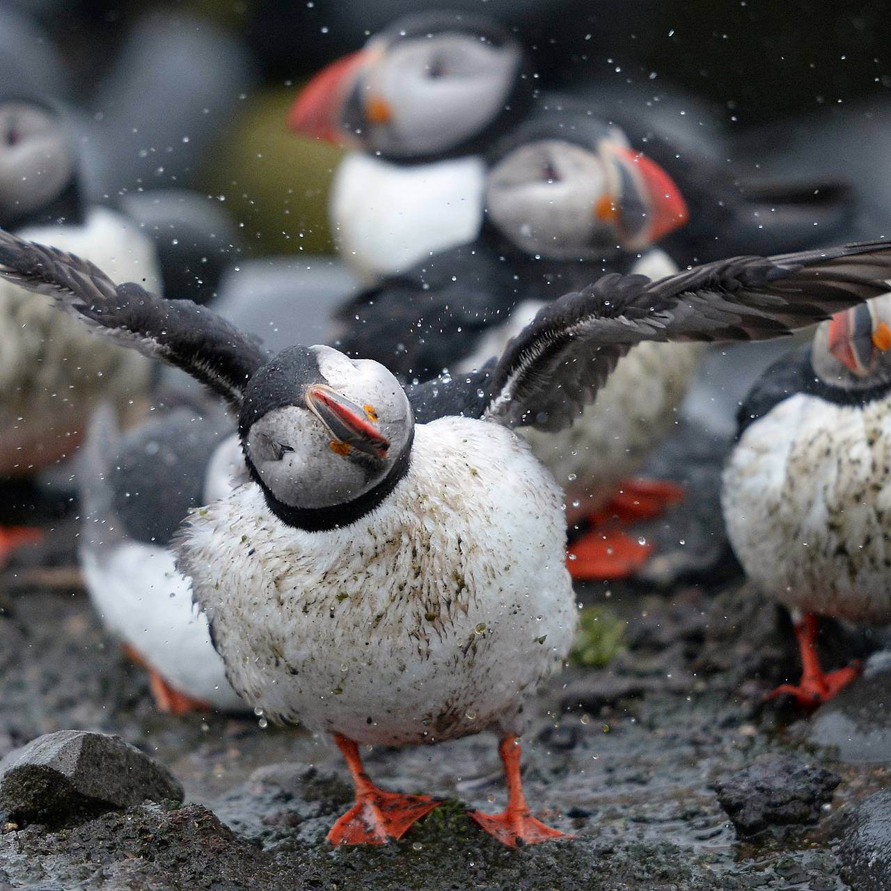 Фото: Nigel Roddis / Reuters