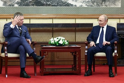 Словацкий политик спрогнозировал тему встречи Путина и Фицо