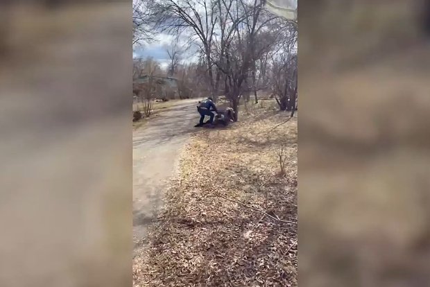 Вводная картинка