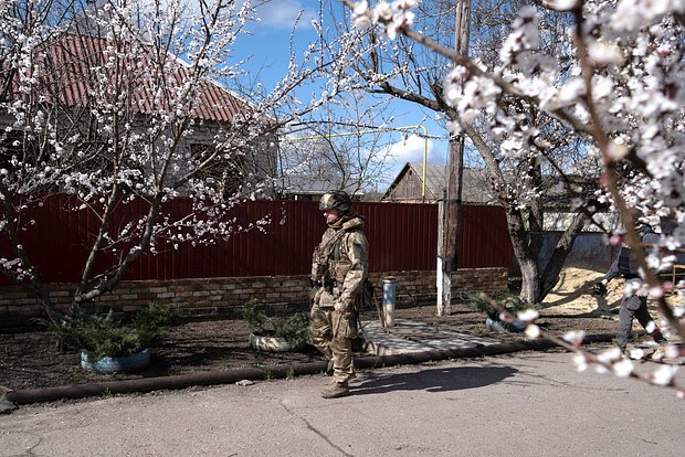 Вводная картинка