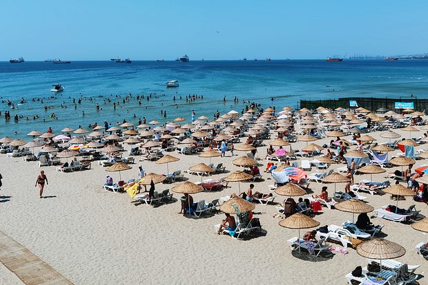 Вводная картинка