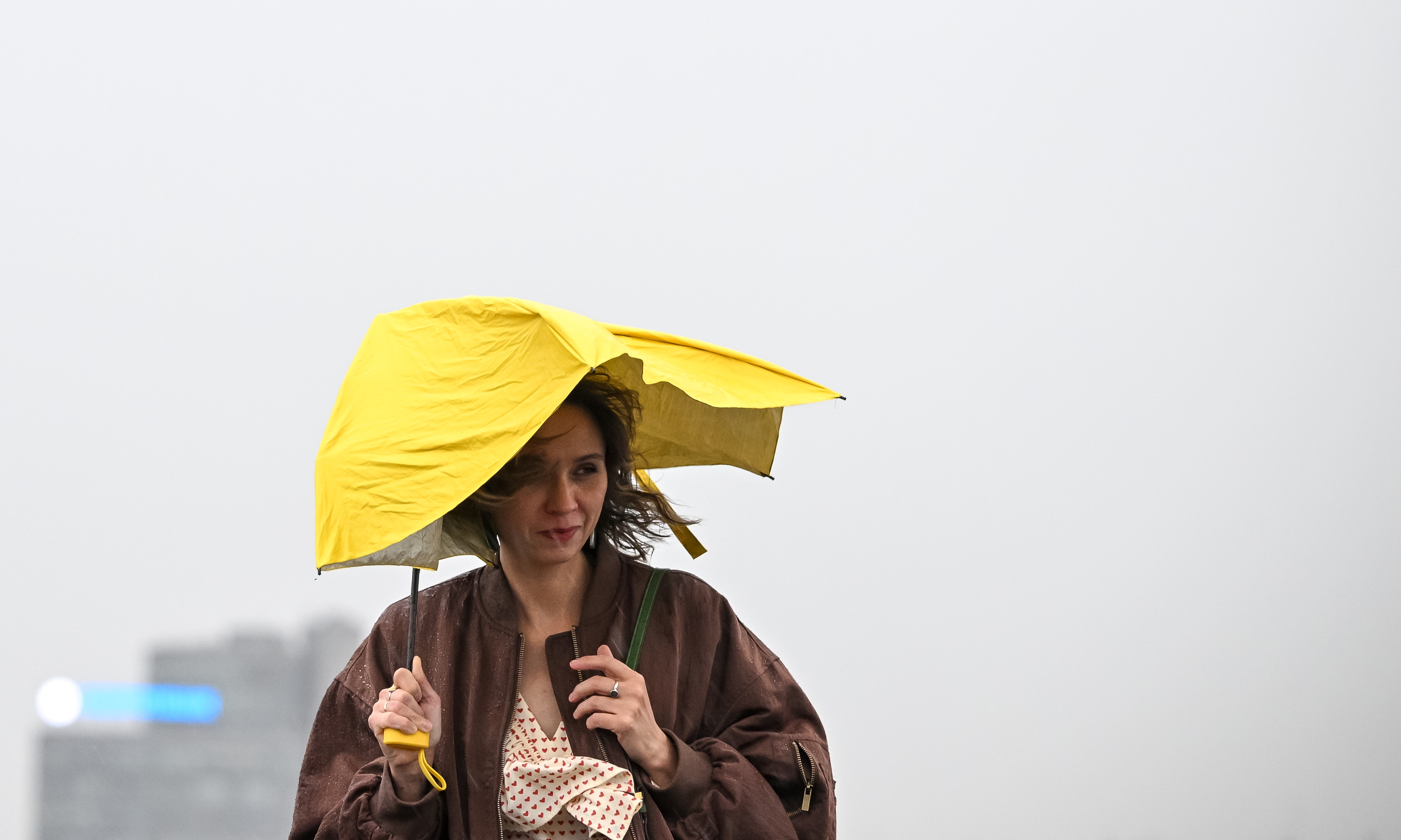 ���������&nbsp; ���������� � �������� �����������