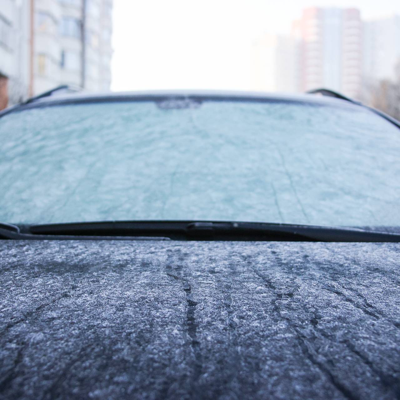 Жителей нескольких регионов России предупредили о заморозках