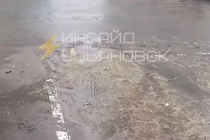 &laquo;Новая жизнь&raquo; утонула в фекалиях