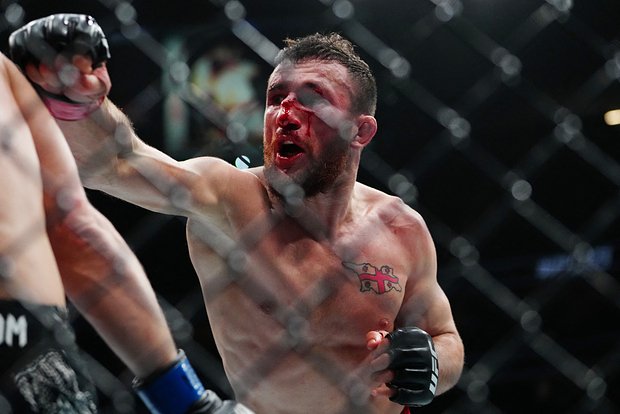 Вводная картинка