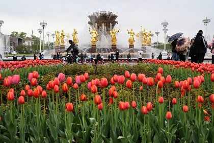 Россиянам рассказали о влиянии майских праздников на оклады