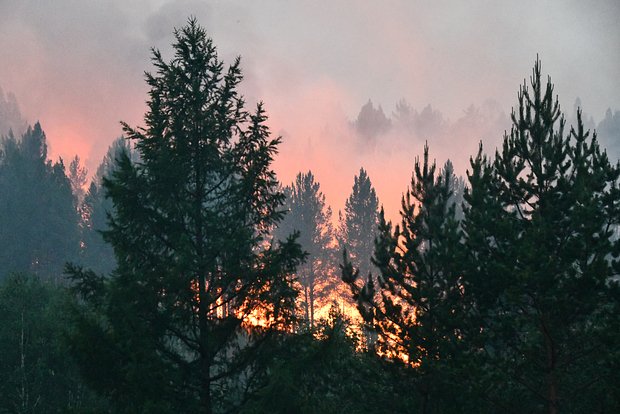 Архивное фото