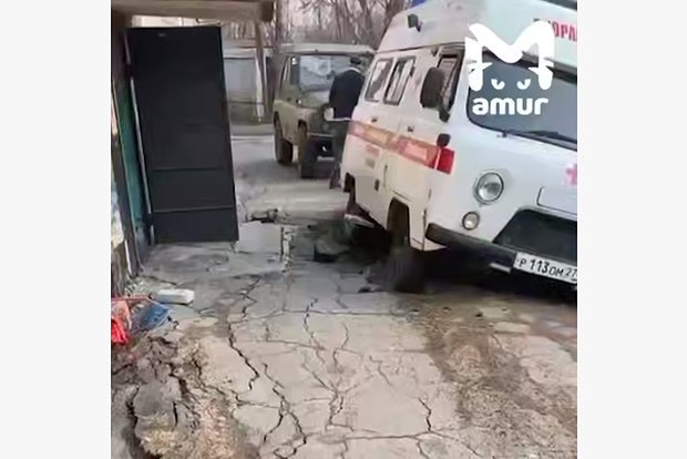 Вводная картинка