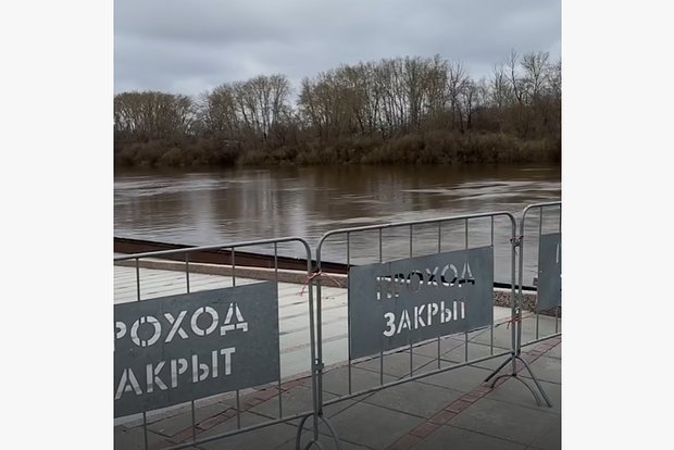 Вводная картинка