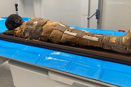 В древней мумии ребенка нашли загадочный предмет