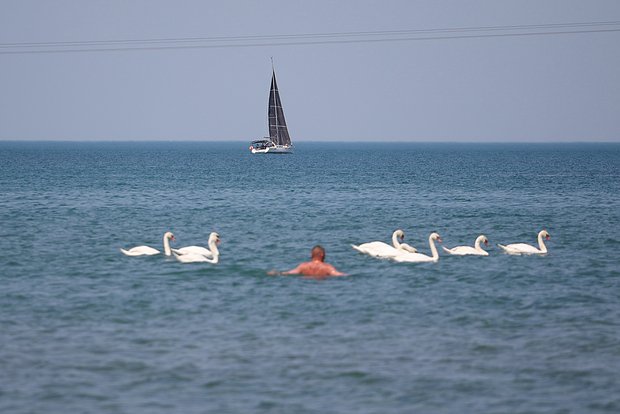 Вводная картинка