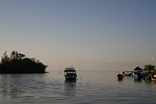 Вводная картинка