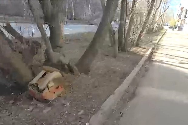 Вводная картинка