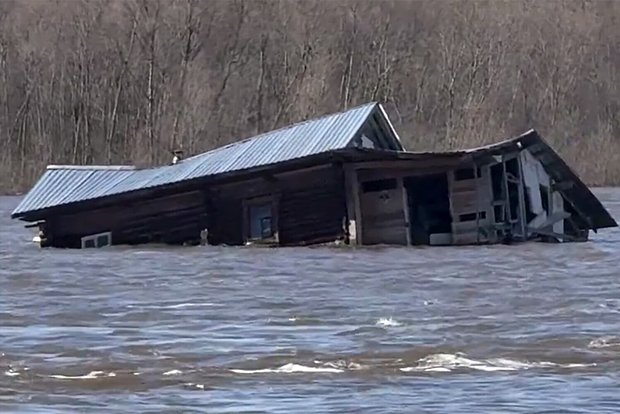 Вводная картинка