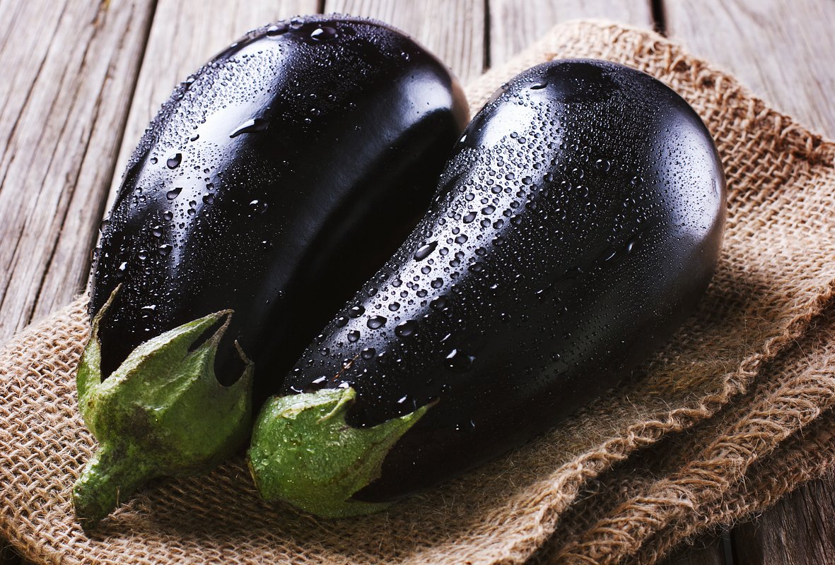 Гибрид «Бегемот F1»